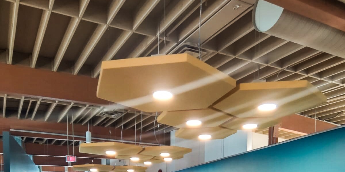 acoustic ceiling light fixtures in a library