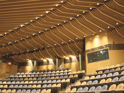 Acoustic panels improving acoustics in large rooms