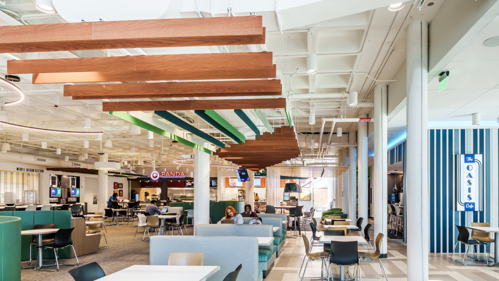 University of North Carolina features Wood Look Acoustic Baffles Wood Look Acoustic Fins Wood Look Acoustic Blades 1
